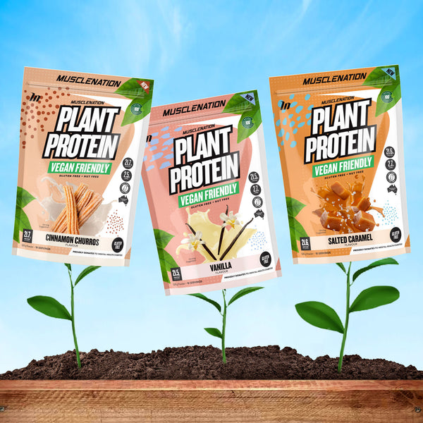 vegan protein powder online