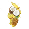 Coconut Pineapple